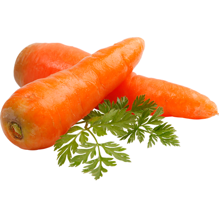 Eat Fresh
