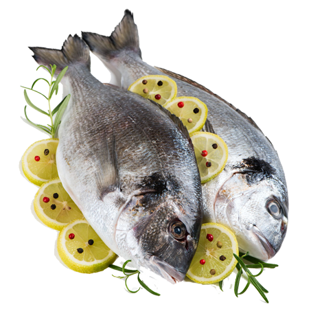 Eat Fresh