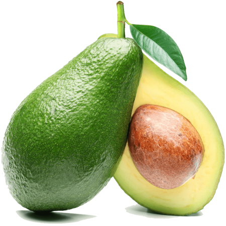 Eat Fresh