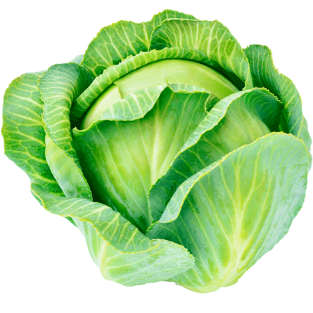 Eat Fresh